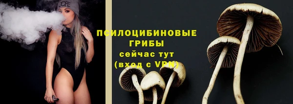 крисы Переславль-Залесский