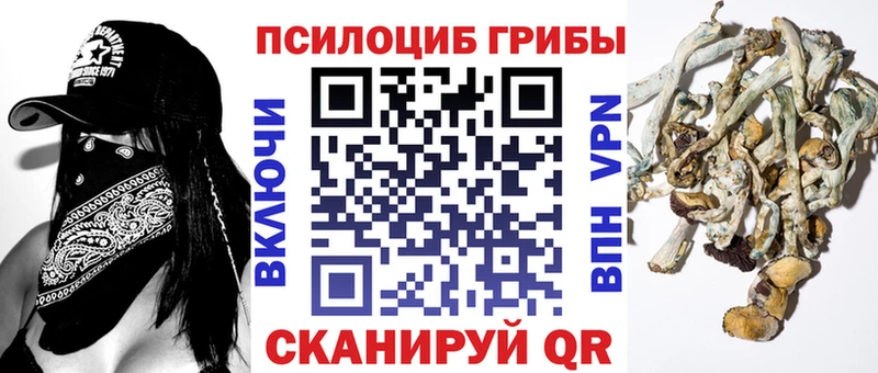 Купить  Урюпинск  Галлюциногенные грибы MAGIC MUSHROOMS 